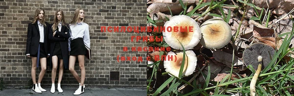 mdpv Корсаков