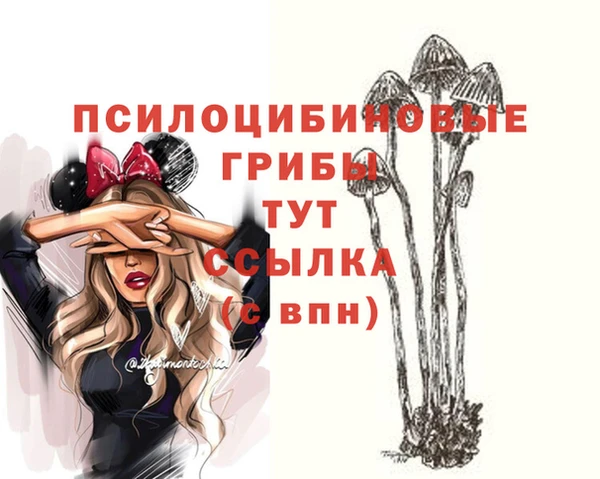 mdpv Корсаков
