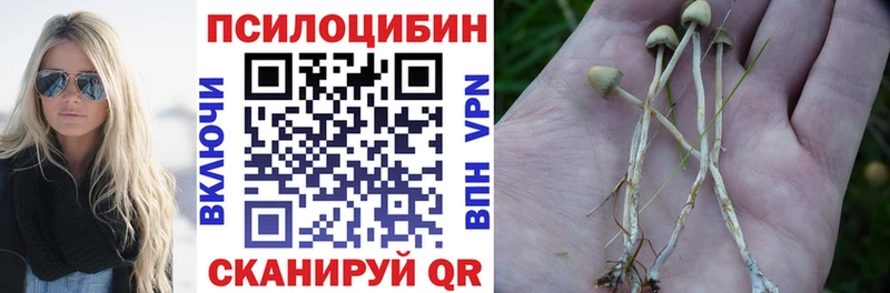 Галлюциногенные грибы Psilocybe  Купить  Губаха 